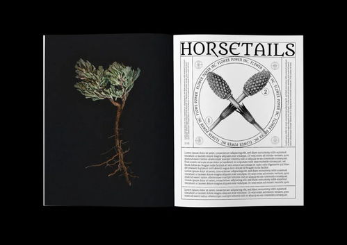 CGDA 2019視覺傳達(dá)設(shè)計(jì)獎(jiǎng)獲獎(jiǎng)作品賞析